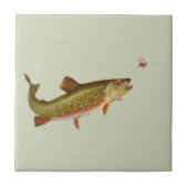 Vintage Regenbogenforelle Fischen Fliese (Vorderseite)