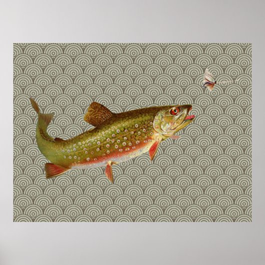 Vintage Regenbogenforelle Fischen Poster (Vorne)