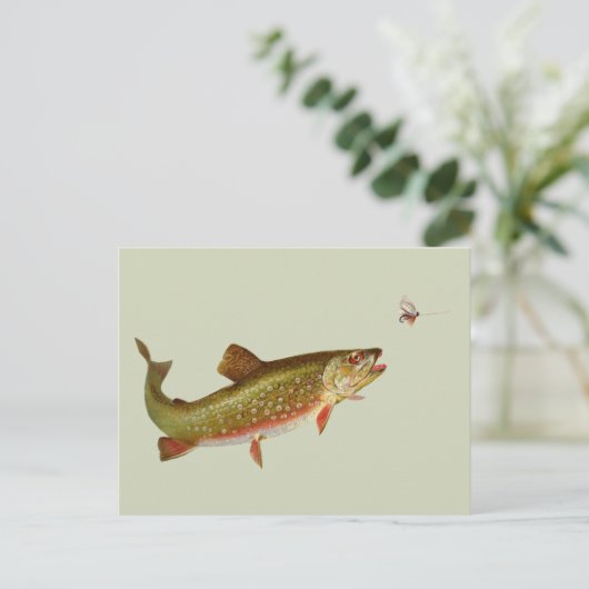 Vintage Regenbogenforelle Fischen Postkarte (Stehend Vorderseite)