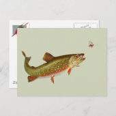 Vintage Regenbogenforelle Fischen Postkarte (Vorne/Hinten)