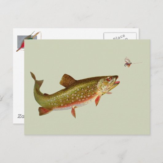 Vintage Regenbogenforelle Fischen Postkarte (Vorne/Hinten)