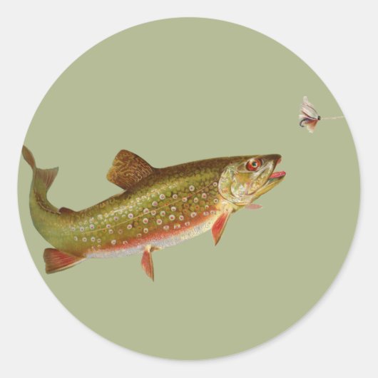 Vintage Regenbogenforelle Fischen Runder Aufkleber (Vorderseite)