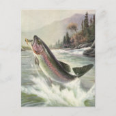 Vintage Regenbogenforelle Fischerei Postkarte (Vorderseite)