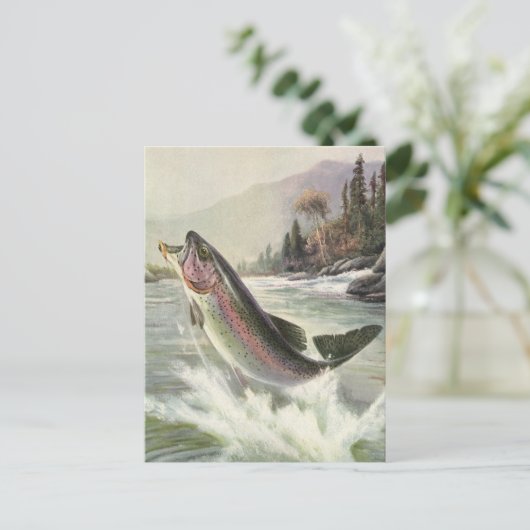 Vintage Regenbogenforelle Fischerei Postkarte (Stehend Vorderseite)