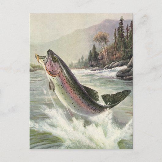 Vintage Regenbogenforelle Fischerei Postkarte (Vorderseite)