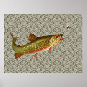 Vintage-Regenbogenforelle-Fliegenfischen Poster