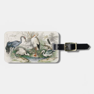 Vintage Reiher Storch und Kranich Natur Kunst Druc Gepäckanhänger