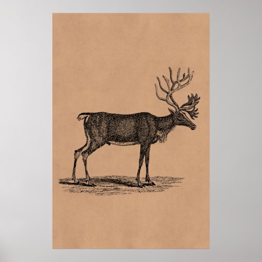 Vintage Reindeer-Illustration - Weihnachten des 18 Poster (Vorne)