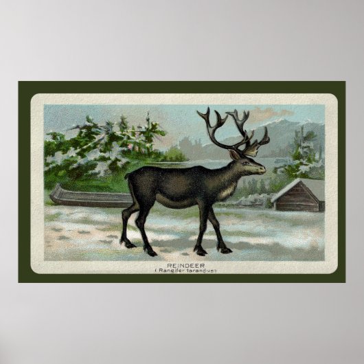 Vintage Reinderausdruck Poster (Vorne)