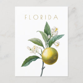 Vintage Reise der Blume Florida Mitte Jahrhundert  Postkarte