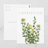 Vintage Reise der Charleston-Blume Mitte Jahrhunde Postkarte (Vorne/Hinten)