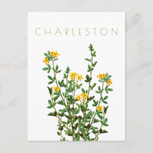 Vintage Reise der Charleston-Blume Mitte Jahrhunde Postkarte (Vorderseite)