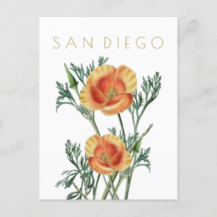 Vintage-Reise nach San Diego, Staatsblume, Mitte d Postkarte