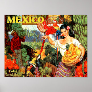 Vintage-Reiseposter Mexiko Poster