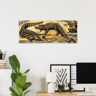 Vintage Reptilien-Illustration von Adolphe Millot Poster