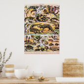 Vintage Reptilien-Illustration von Adolphe Millot Poster (Küche)