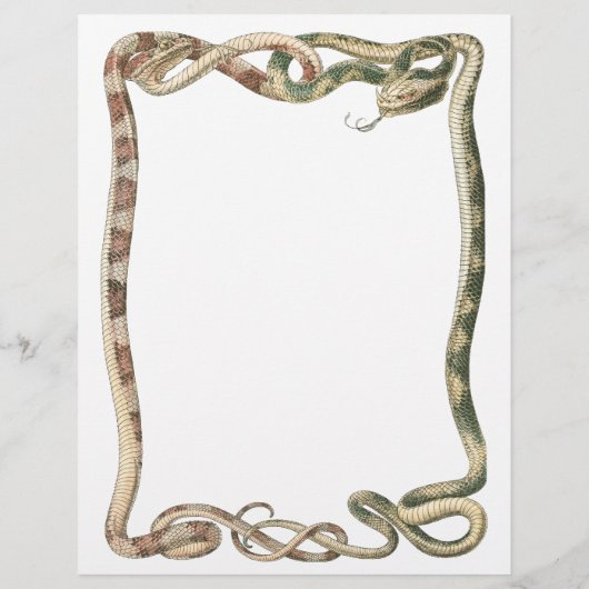 Vintage Reptilien, Schlangen oder Hühner Flyer (Hinten)