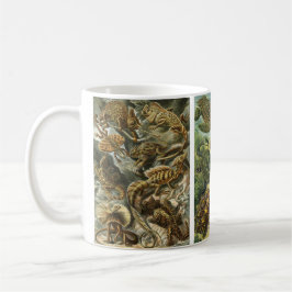 Vintage Reptilien und Amphibien von Ernst Haeckel Tasse