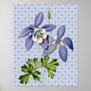 Vintage Retro Columbine Blumenkunstposter Poster