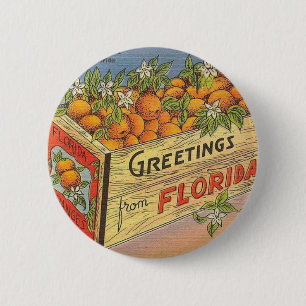 Vintage Retro Florida-Orangen Button