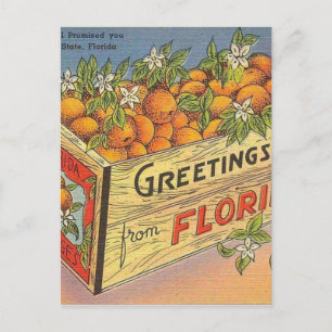 Vintage Retro Florida Orangen Postkarte
