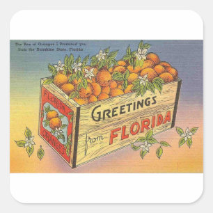 Vintage Retro-Florida-Orangen Quadratischer Aufkleber