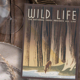 Vintage Retro Grand Wild Life Nationalpark Postkarte