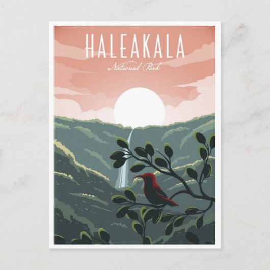 Vintage Retro Haleakala Hawaï Nationalpark Postkarte (Vorderseite)