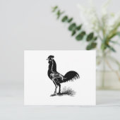 Vintage Retro Hühneranatomie Sketch Postkarte (Stehend Vorderseite)