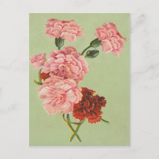 Vintage Retro-Rose Postkarte (Vorderseite)
