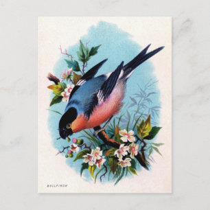 Vintage Retro Vogel auf einem Ast Postkarte