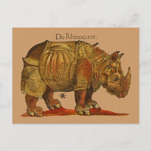 Vintage Rhino Durer's Rhinoceros Antike Postkarte (Vorderseite)