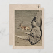 Vintage Rhino Postkarte (Vorne/Hinten)