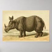 Vintage Rhinoceros-Naturgeschichte Poster (Vorne)