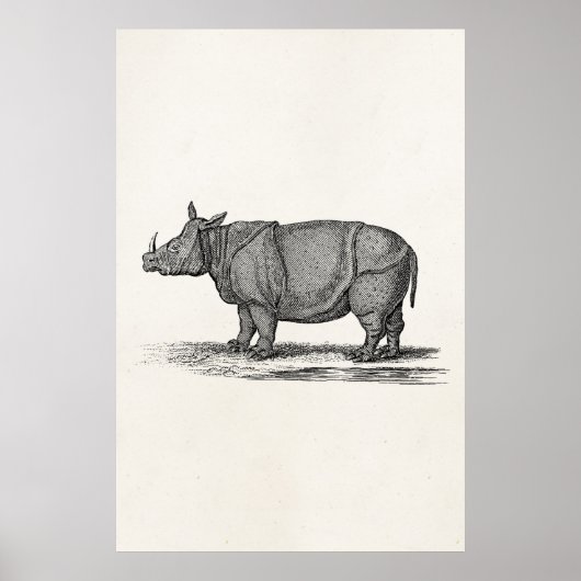 Vintage Rhinozeros-Illustration der 1800er Jahre - Poster (Vorne)