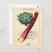 Vintage Rhubarb Botanische Printwerbung Postkarte (Vorne/Hinten)