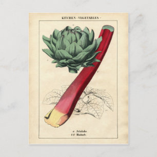 Vintage Rhubarb Botanische Printwerbung Postkarte
