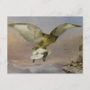 Vintage Richard Ansdell Bussard mit Schneehuhn Postkarte