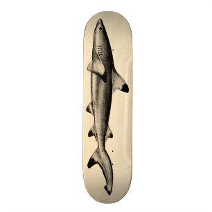 Vintage Riff-Haifisch-Illustration - Schwarzes Skateboard