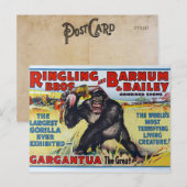 Vintage Ringling Bros Postkarte (Vorne/Hinten)