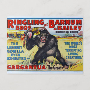 Vintage Ringling Bros Postkarte
