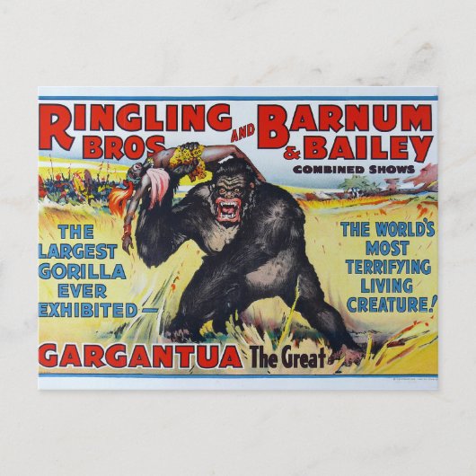 Vintage Ringling Bros Postkarte (Vorderseite)