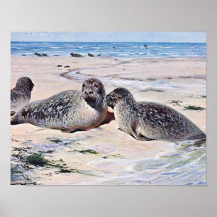 Vintage Robben am Strand Kunst Poster