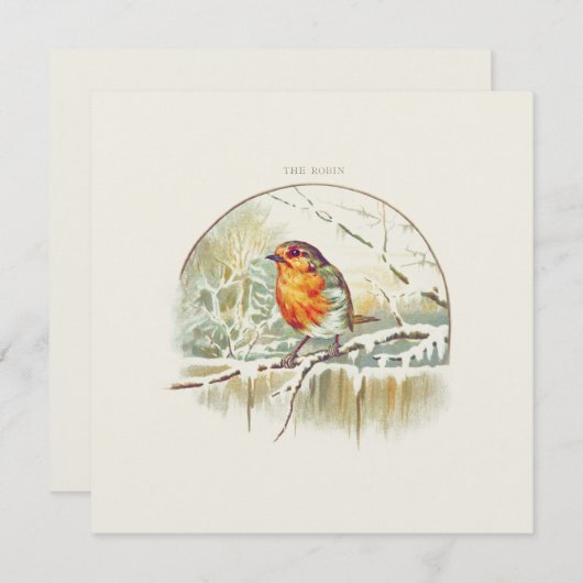 VINTAGE ROBIN "MERRY CHRISTMAS" GREETKARTE (Vorne/Hinten)