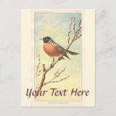 Vintage Robin Postcard Postkarte (Vorderseite)