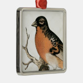 Vintage Robin Silbernes Ornament (Rechts)