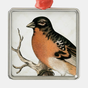 Vintage Robin Silbernes Ornament
