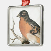 Vintage Robin Silbernes Ornament (Links)