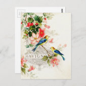 Vintage romantische französische Vogelgeschichte Postkarte (Vorne/Hinten)