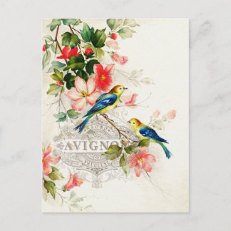 Vintage romantische französische Vogelgeschichte Postkarte